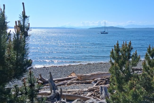 WEST SEATTLE SUNDAY: 28 options!
