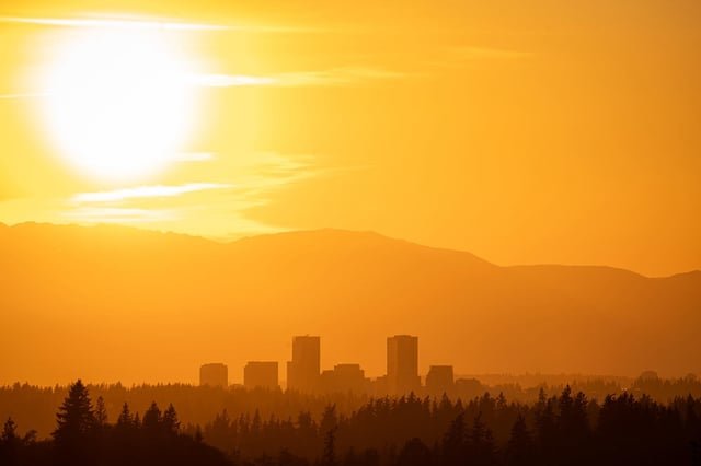 Bellevue at sunset