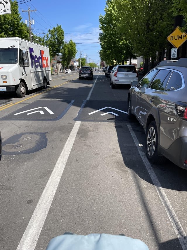 Can someone explain these speed bumps?