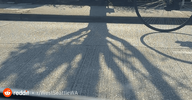 Stay Weird, West Seattle