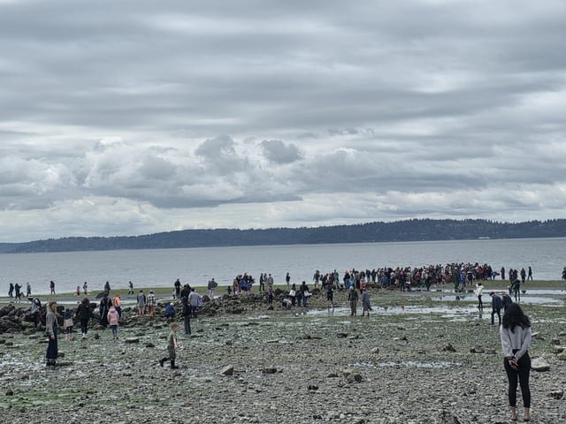 Constellation Park – Low Tide