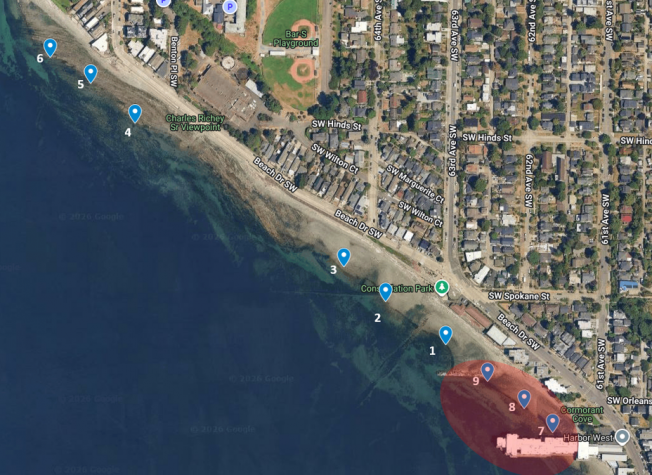 FOLLOWUP: Part of South Alki shore/water is safe again, post-overflow – here’s the part that still is not