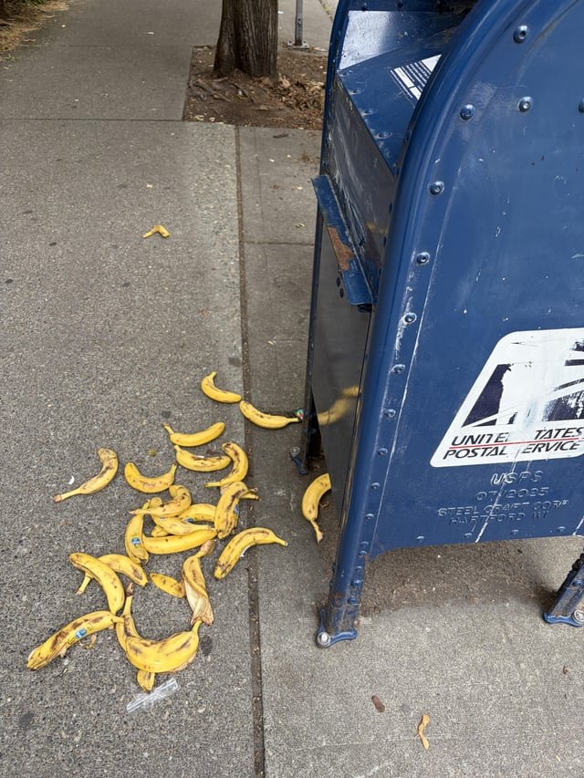 Nooooo my bananas