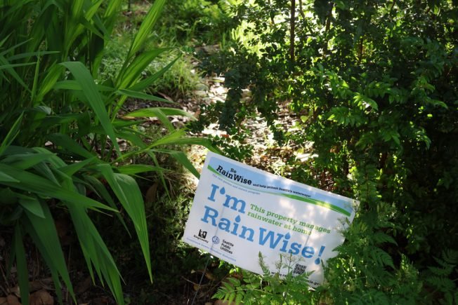 One way to tackle Puget Sound pollution: See what RainWise is all about