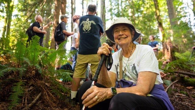 Petition: Save Tiger Mountain from Commercial Logging!