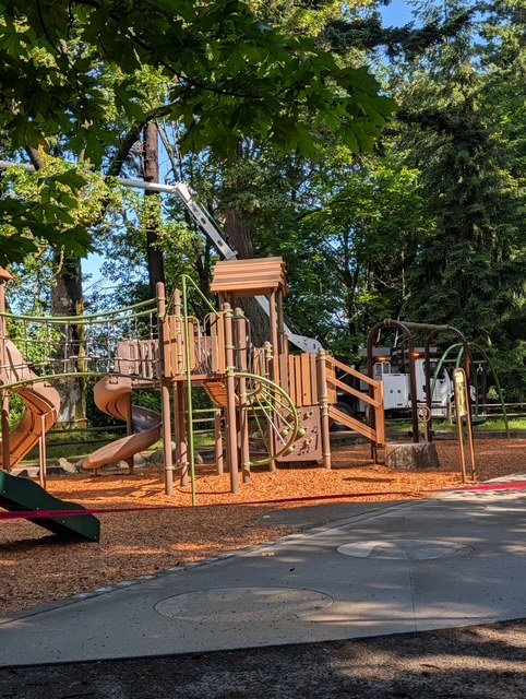 READER REPORT: Tree trouble at Lincoln Park’s north play area