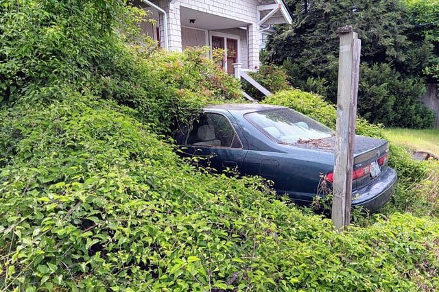 Consumed Camry in U district
