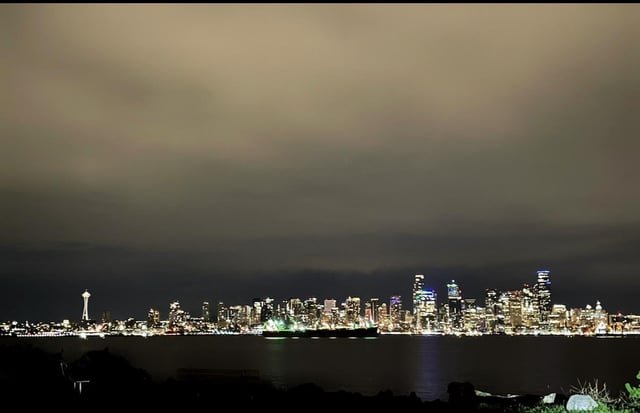 skyline on the night I was proposed to