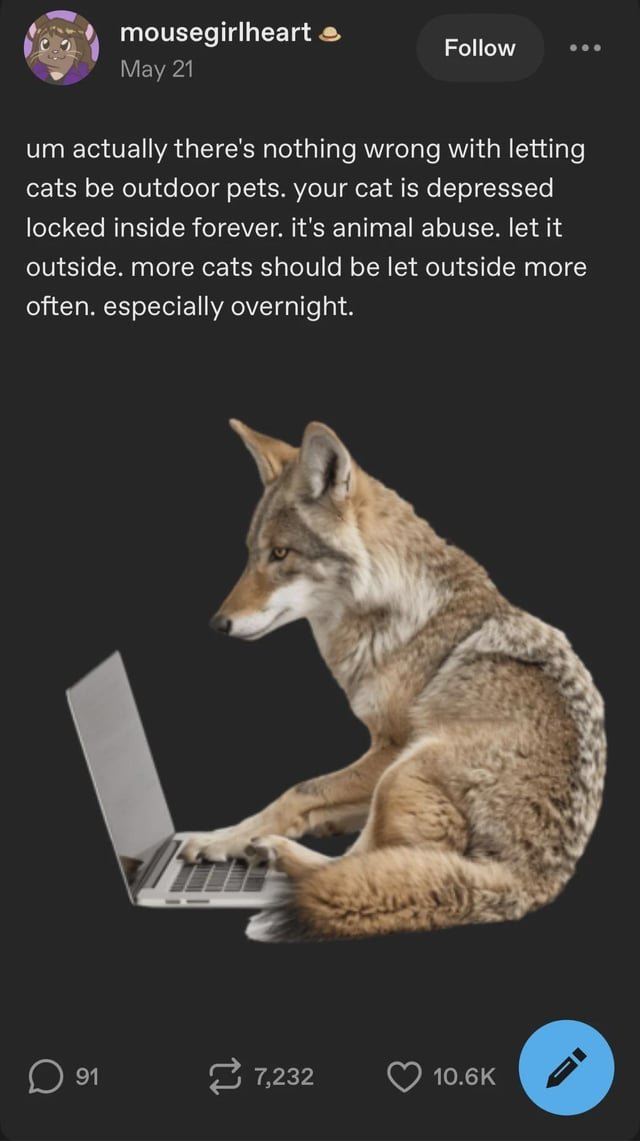 Let your pets out at night