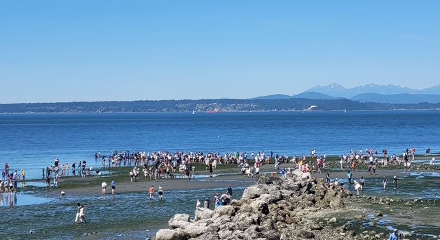 LOW-LOW TIDE: Busy beach