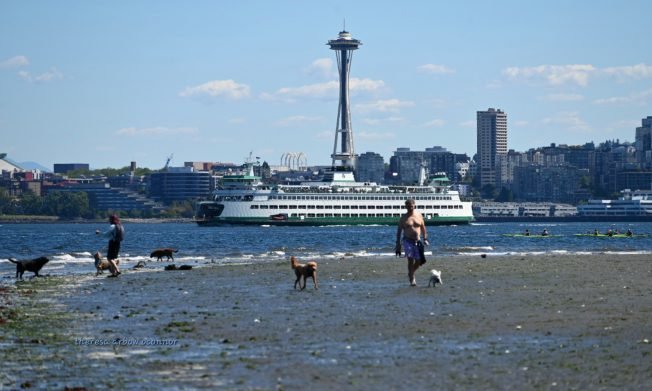 Here’s how many animal complaints Seattle Park Rangers get – and how few citations they issue