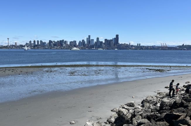 Sea-kayaking navigation class, preparedness presentation, Pride Trivia Night, mega-low tide, more for your West Seattle Wednesday