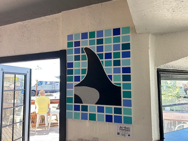 Art for awareness: What these orca fins are about