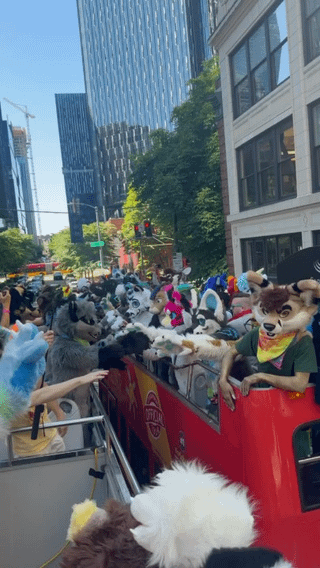 Turns out the only thing r/Seattle can agree on is a hatred of shaky video. A better view!