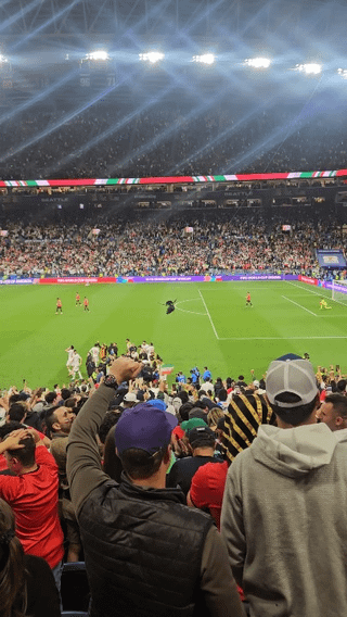 Pitch Invader during the World Cup Egypt vs Iran match