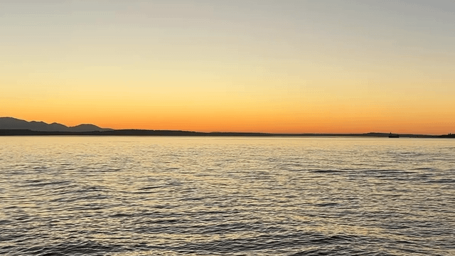Last night at Alki my kid said she saw a whale tail while we were biking home. So we stopped to check.