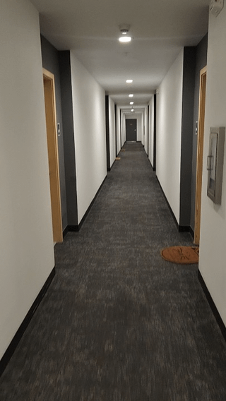 Neighbor down the hall who blasts the sound of church bells 24/7 to “keep evil spirits away”