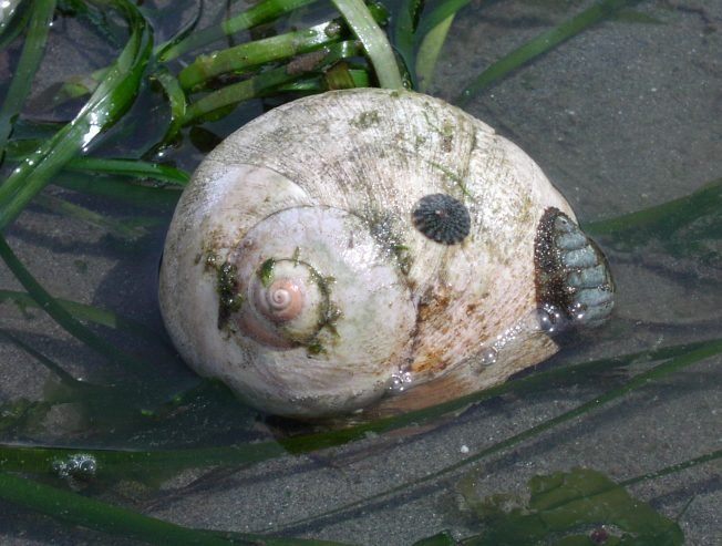 LOW-LOW TIDE: Saturday sights