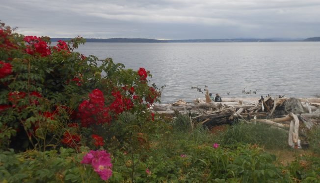 Here’s what’s happening for the rest of your West Seattle Tuesday