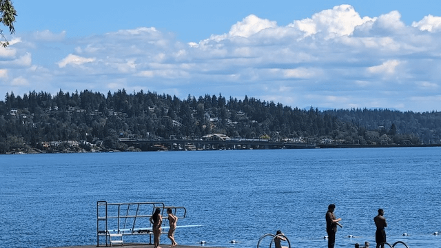 The view of the light rail crossing the floating bridge from Madrona Park