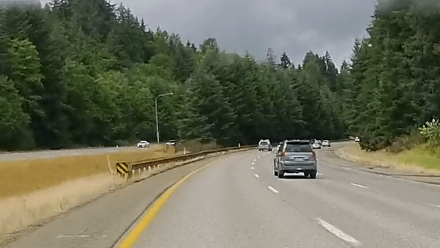 Almost taken out by a kamikazi eagle on I-90