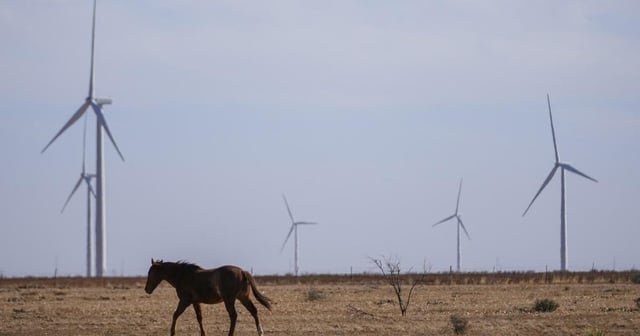 Clean energy advocates facing red tape in Washington look for answers in Texas