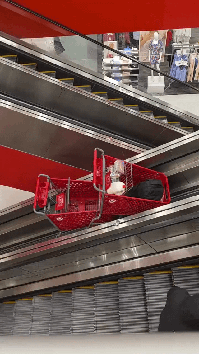 Just a normal afternoon at the Downtown Target