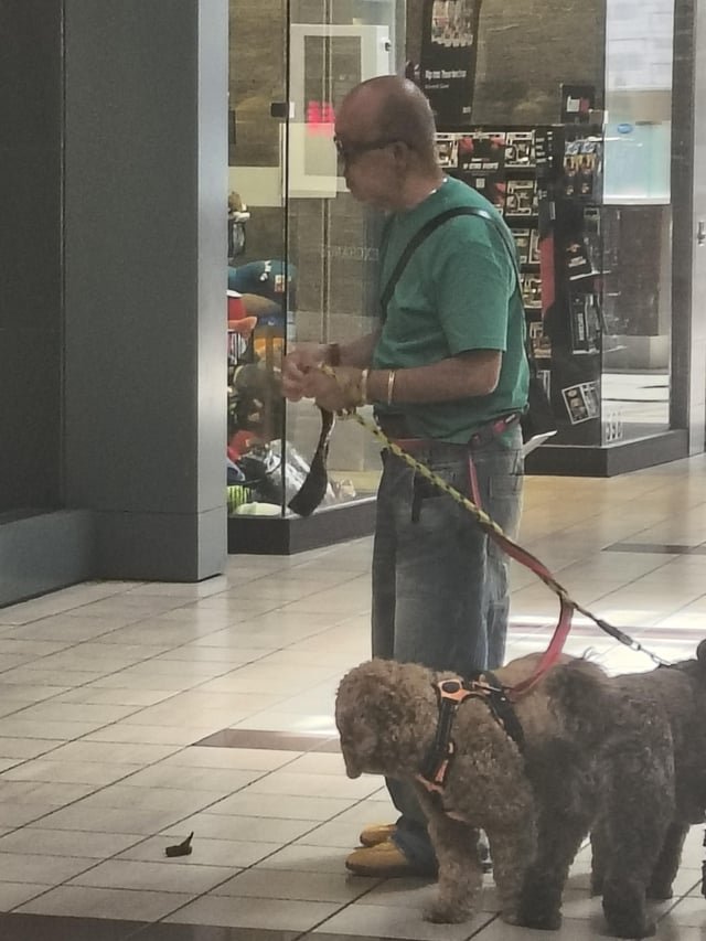 Seattle and their dog owners, why bring dogs to the mall?