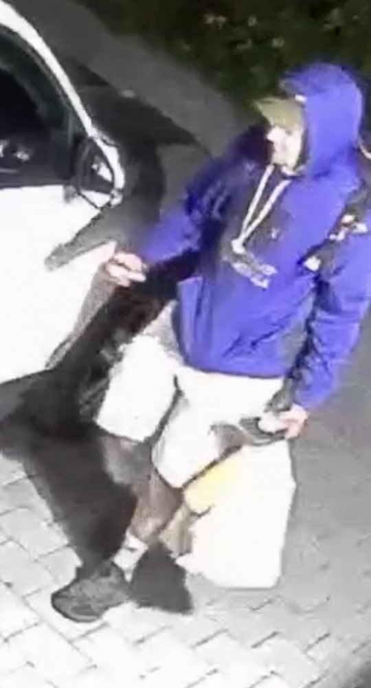 WEST SEATTLE CRIME WATCH: Car prowler