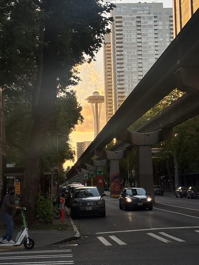 Golden Hour of the Needle