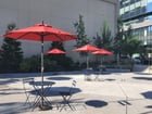Found a cool new plaza in the U-District, has all native plants in its design.