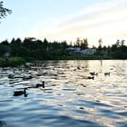 Seward Park – Evening walk