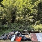 Kinnear dog park encampment