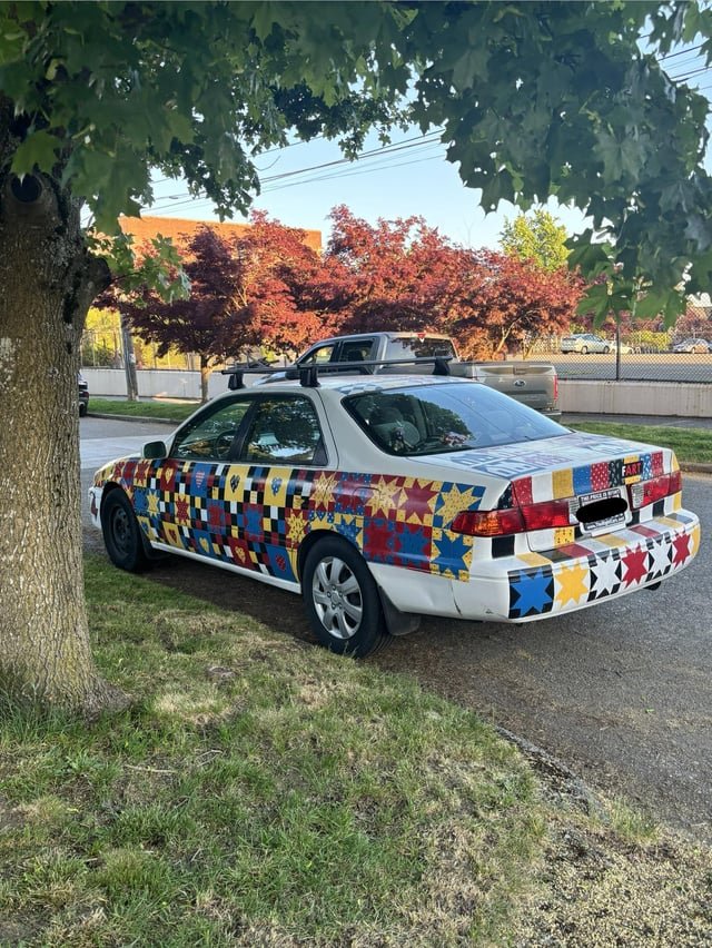 Spotted in north Seattle!