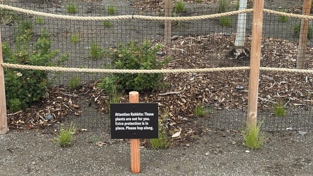 Found an Easter egg in Myrtle Edwards Park