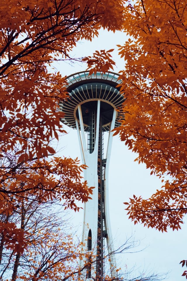 My favorite photo I’ve taken of the Space Needle