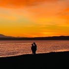 Today’s Golden Gardens Park.