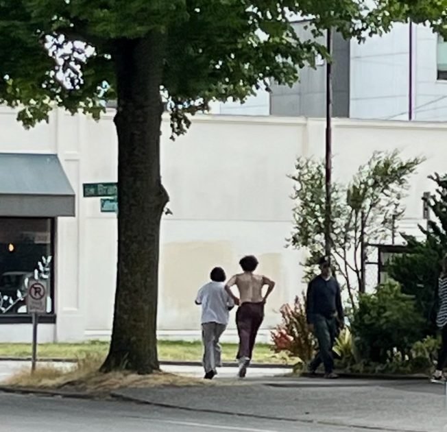 WEST SEATTLE CRIME WATCH: Assault on the street
