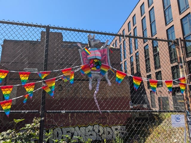 Hot Rat Summer on display in a Pioneer Square