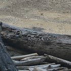 Found this cool log at Lincoln Park today.