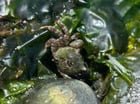 Low tides!!