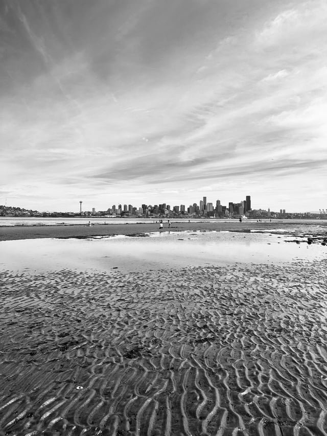 Epic low tide this morning