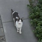 George update: true sighting!