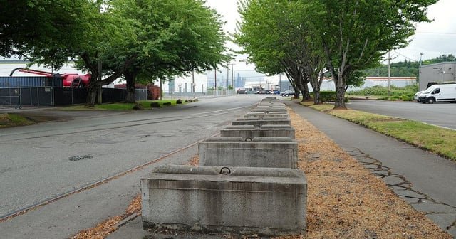 Who Put 2,400 Eco-Blocks in Georgetown? Researchers Still Don’t Know.