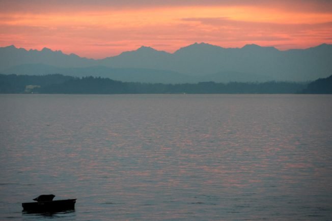 WEST SEATTLE WEATHER: Sunset, with wildlife and raindrops