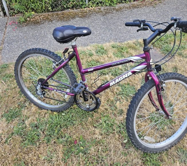 READER REPORT: Recognize this bicycle?