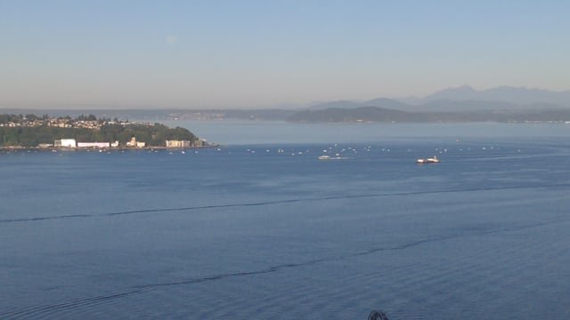 What are all the boats in Elliot Bay catching?