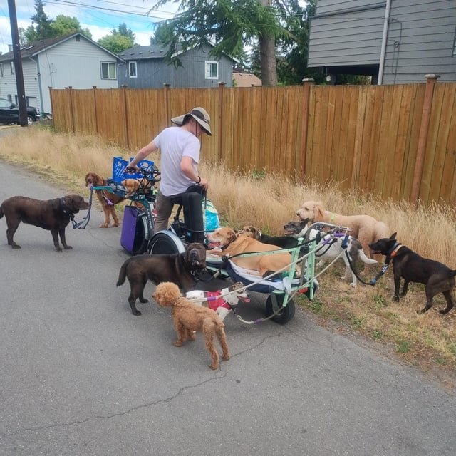 Some good boys out for a stroll