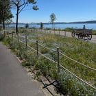 New Waterfront Park