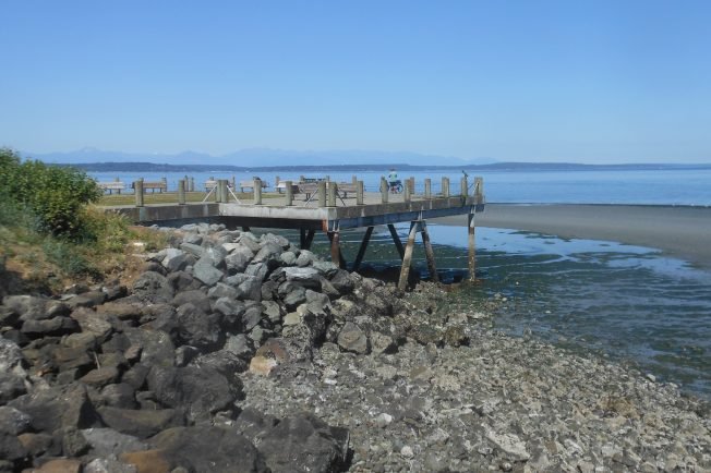 WEST SEATTLE SCENE: Low-low tide sights